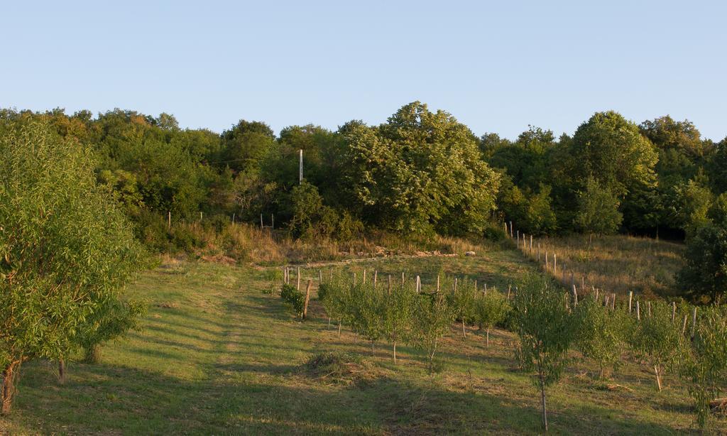 Édenkert Vendégházak Pecsvarad Exterior foto