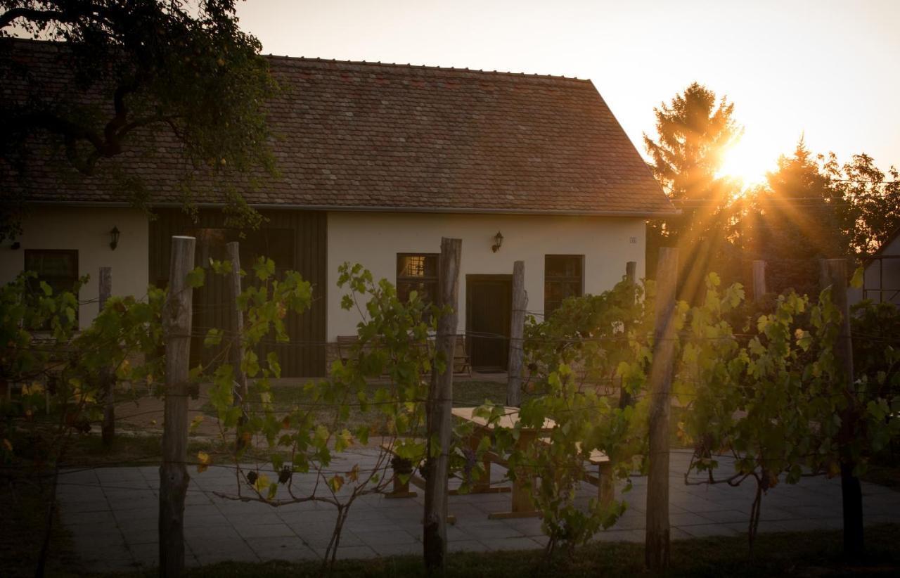Édenkert Vendégházak Pecsvarad Exterior foto